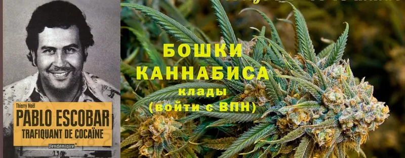 блэк спрут как зайти  Закаменск  Бошки марихуана Ganja 